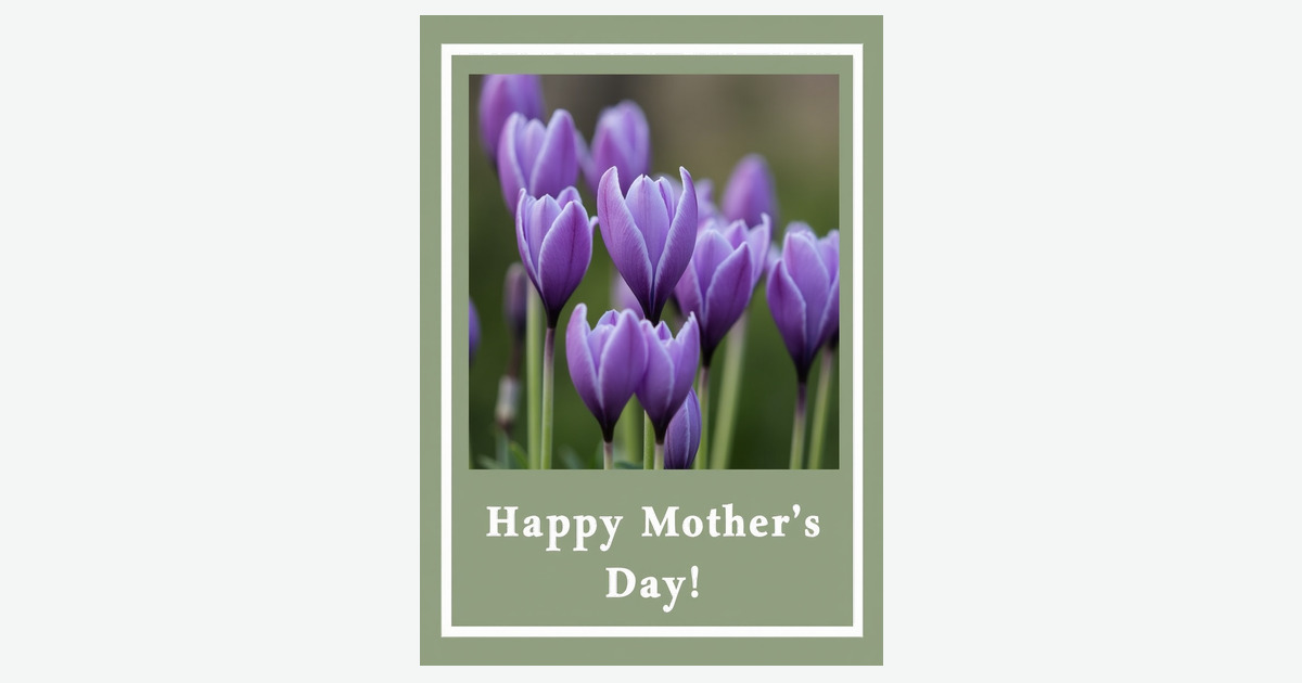 White Edged Petals Mothers Day Card | Clever Studio Art