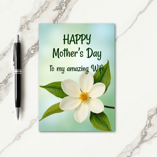 Amazing Wife Mothers Day Card