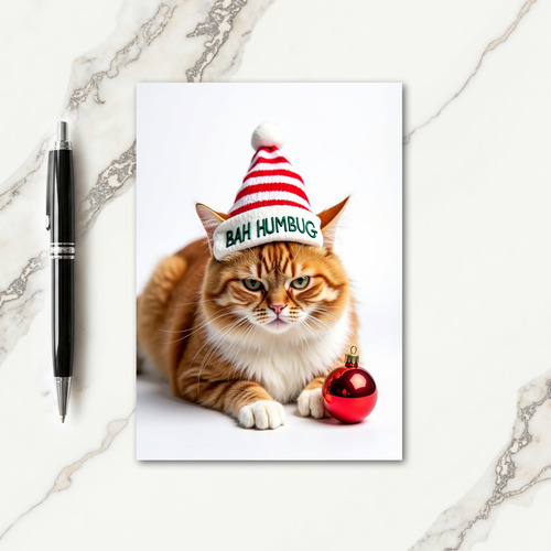 Amused Feline Christmas Card