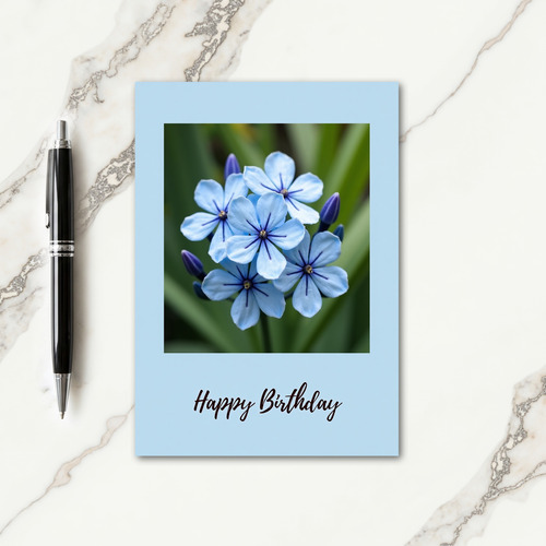 Azure Floral Birthday Card