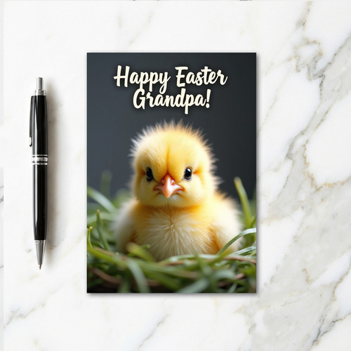 Baby Bird Greeting Card
