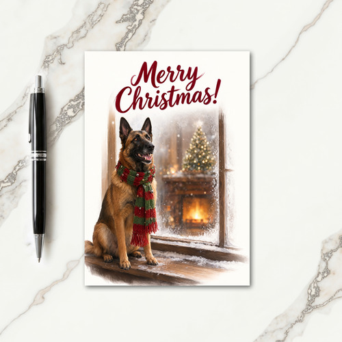 Belgian Malinois Christmas Card