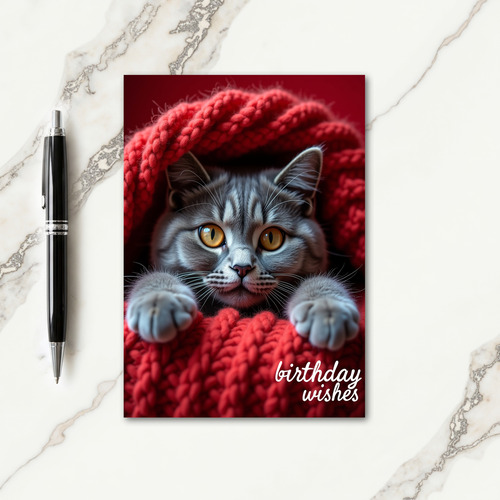 Birthday Gaze Cat Card