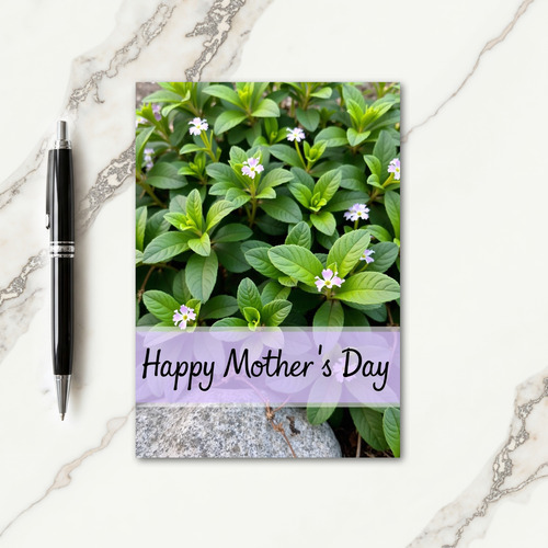 Botanical Lavender Message Card