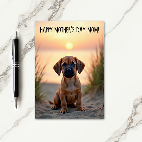 Coastal Sunset Dog Card
