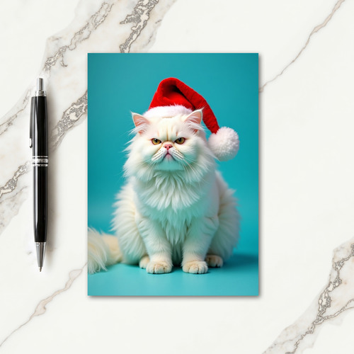 Cream Cat Hat Christmas Card