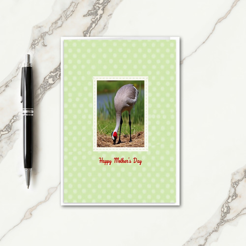Crimson Bird Mothers Day Card