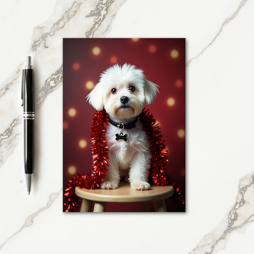 Crimson Bokeh Dog Card thumbnail