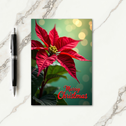 Crimson Holiday Bloom Card
