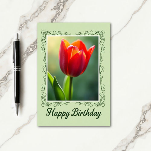 Crimson Tulip Birthday Card