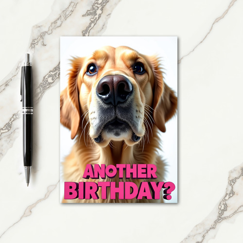 Earnest Gaze Birthday Card