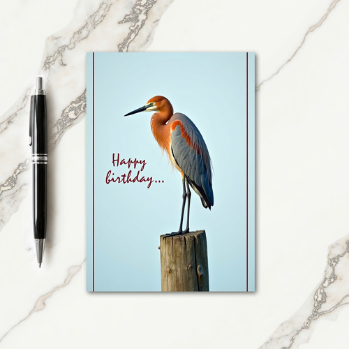 Elegant Bird Sweet Birthday Card