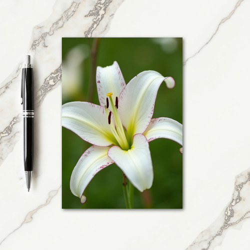 Floral Mothers Day Petals Card