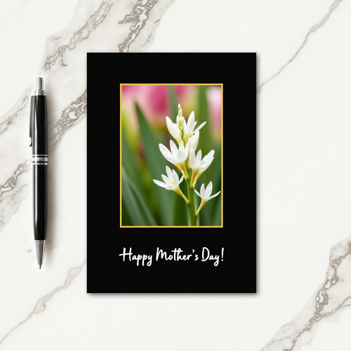 Floral Radiance Pattern Card