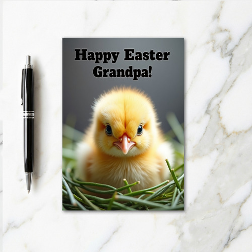 Fluffy Chick Holiday Greeting Card