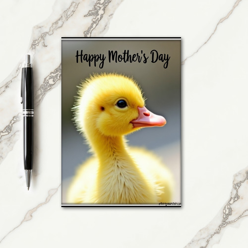 Fluffy Chick Mothers Day Card