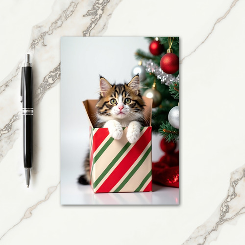 Fluffy Curious Christmas Card