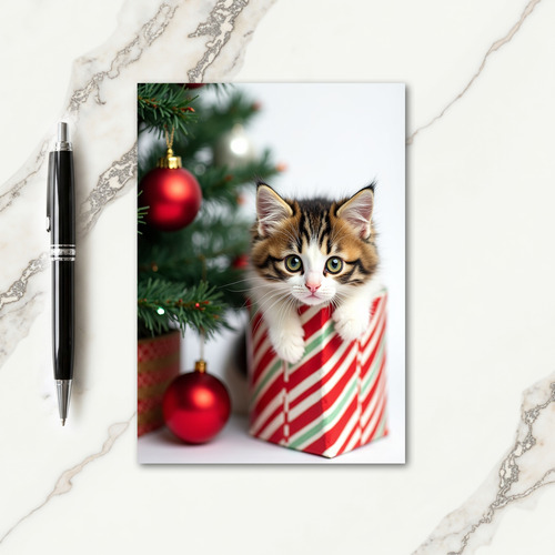 Fluffy Kitten Gift Box Card