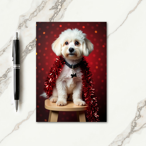 Fluffy Pet Christmas Card