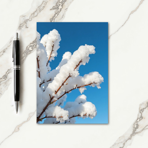 Frosty Branches Christmas Card