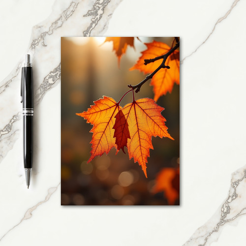 Golden Glow Thanksgiving Card