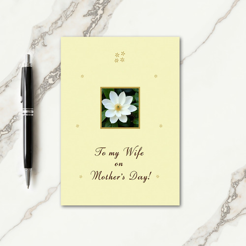 Golden Starburst Mothers Card