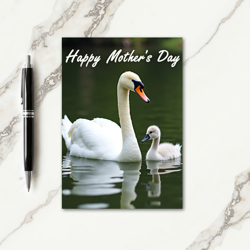 Graceful Swan Mothers Day Card