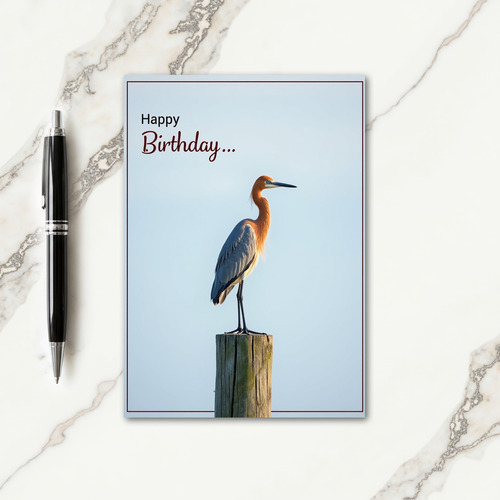 Graceful Wader Birthday Card