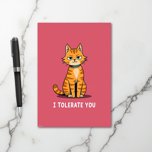 Grumpy Cat I Tolerate You Card