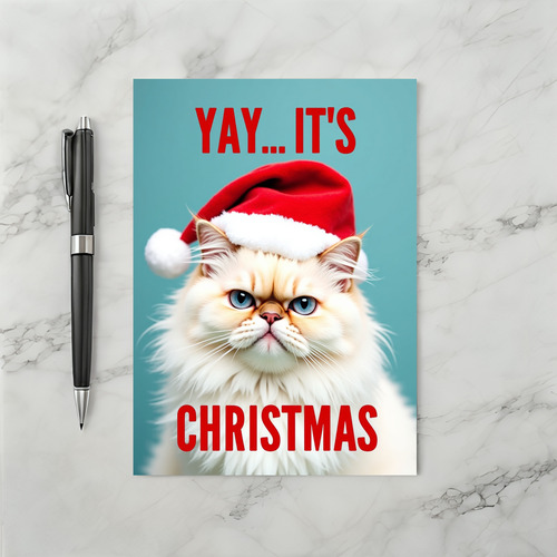 Grumpy Santa Cat Christmas