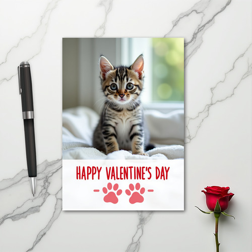 Happy Valentines Day Kitten Card