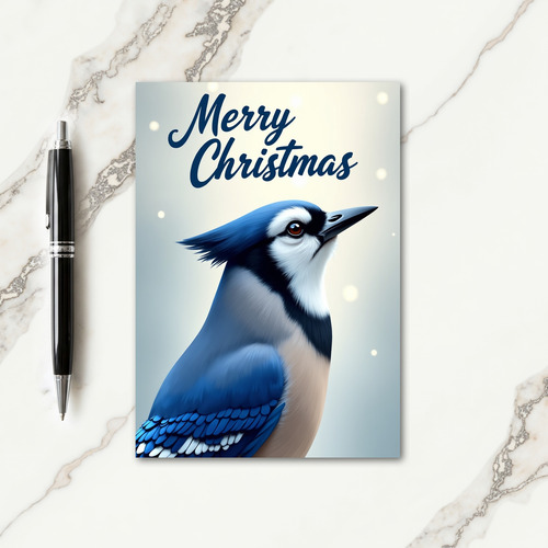 Illustrated Bird Christmas Card