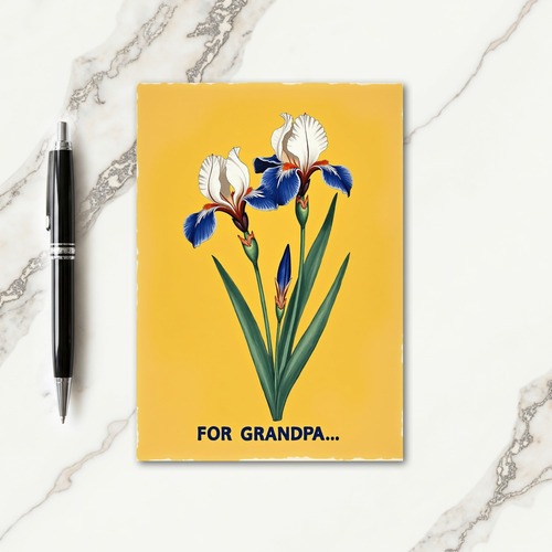 Illustration For Fathers Card