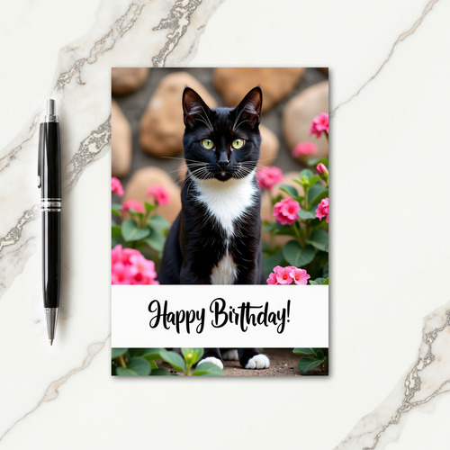 Joyful Bicolor Cat Birthday Card