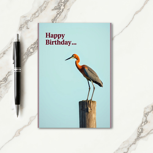 Joyful Birthday Avian Grace Card