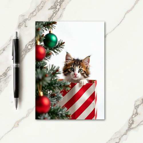 Kitten Christmas Wonder Card