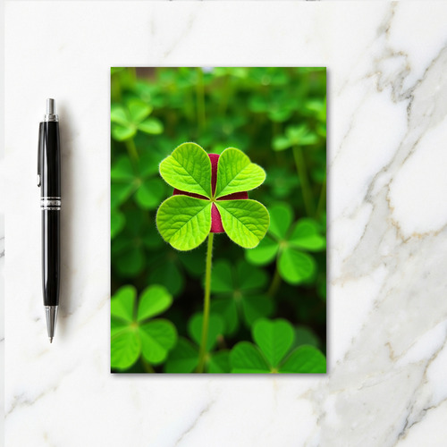 Lucky Plant Photo Card