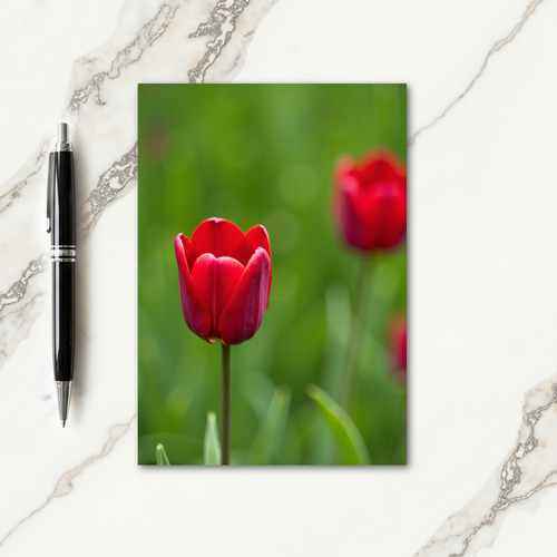 Lush Green Mothers Day Photo Card