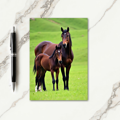 Mare And Foal Mothers Day Card