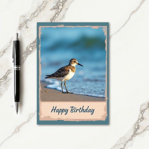 Peaceful Shorebird Birthday Card
