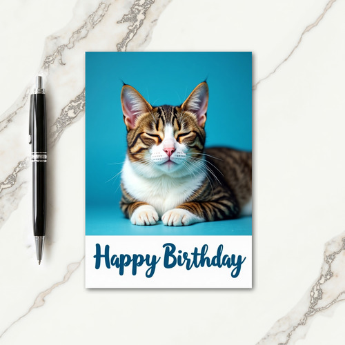 Peaceful Tabby Birthday Card