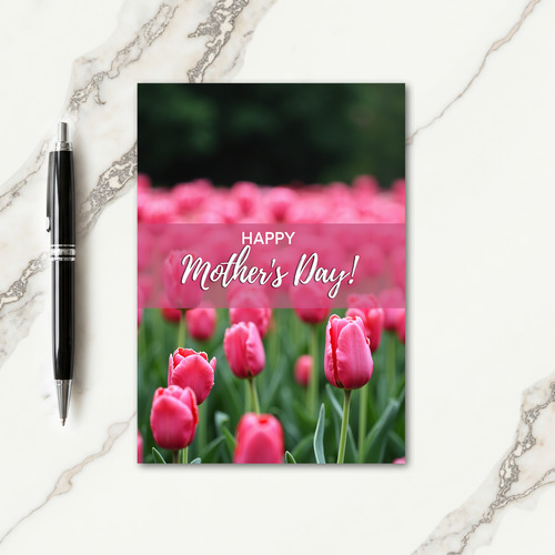 Pink Haze Tulip Spring Card