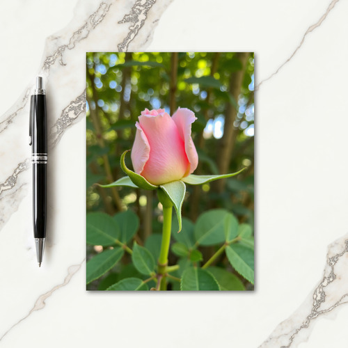 Pink Rose Mother Day Bloom Card