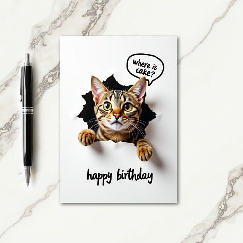 Playful Birthday Feline Card