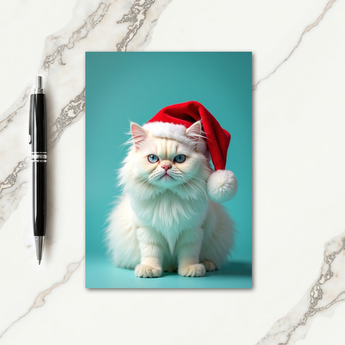 Plush Cat Christmas Card