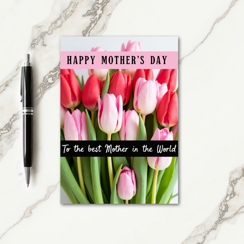 Polka Dot Tulip Mother Card
