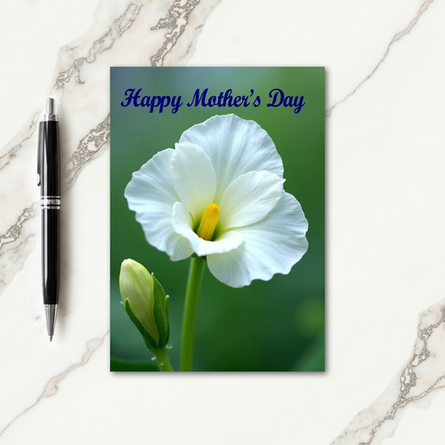 Polka Dot White Blossom Card