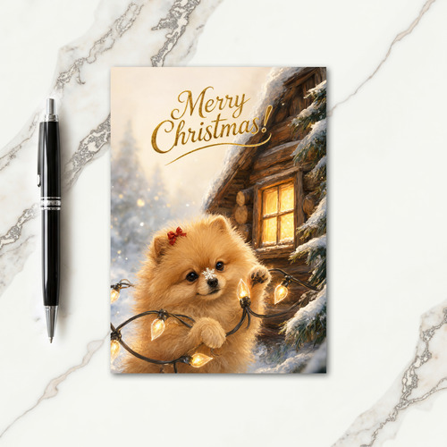 Pomeranian Christmas Card