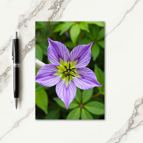 Purple Star Flower Mothers Day Card