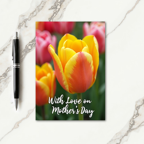 Radiant Bloom Pattern Card